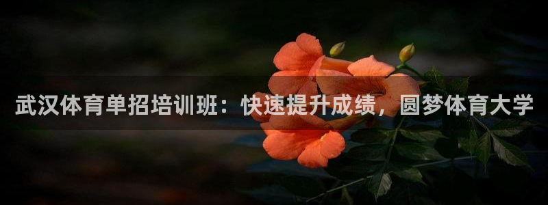 极悦平台app二维码怎么弄的：武汉体育单招培训班：快