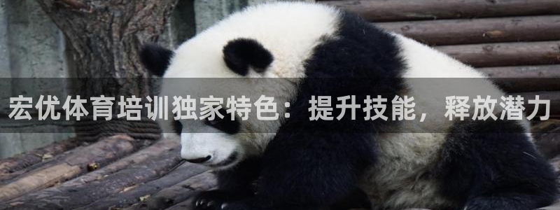 极悦平台注册和登录页面一样吗：宏优体育培训独家特色：