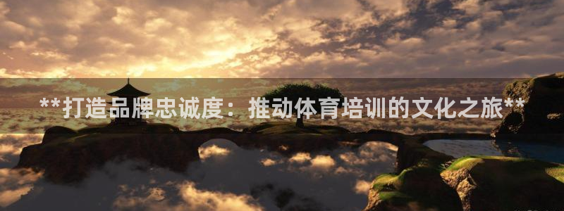 极悦娱乐股东有哪些：**打造品牌忠诚度：推动体育培训