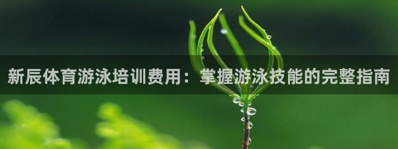 极悦娱乐代理多少钱一年：新辰体育游泳培训费用：掌握游