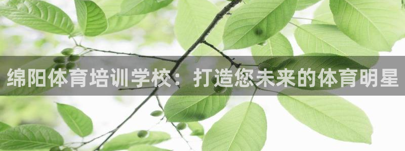 极悦官方网站app下载：绵阳体育培训学校：打造您未来