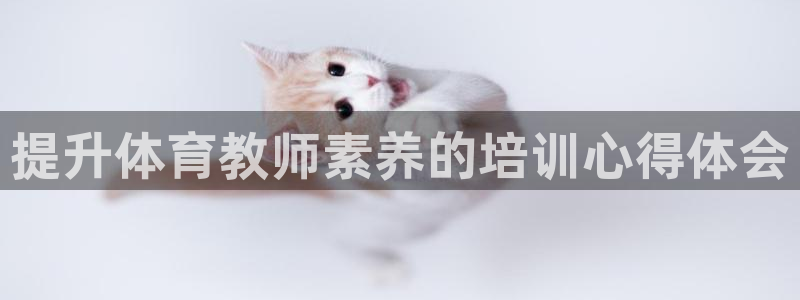 极悦是什么牌子空调的：提升体育教师素养的培训心得体会