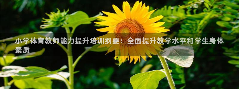 极悦娱乐app官方版本更新内容是什么：小学体育教师能