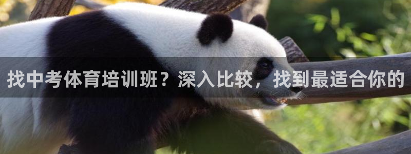 极悦平台注册失败如何解决呢：找中考体育培训班？深入比