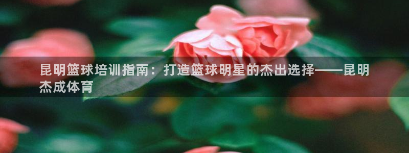 极悦平台家7O777：昆明篮球培训指南：打造篮球明星