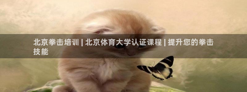 极悦平台注册用户名格式不正确：北京拳击培训 | 北京