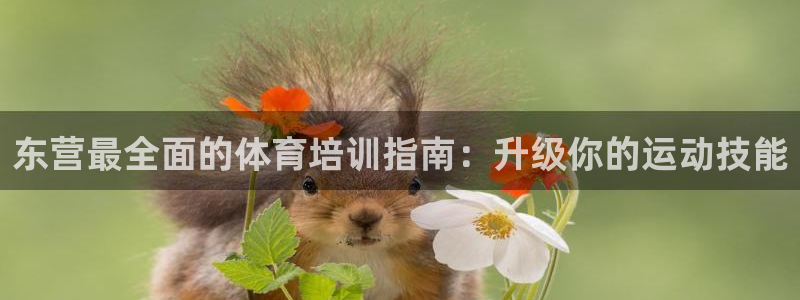 极悦平台登录最新版本更新内容是什么：东营最全面的体育