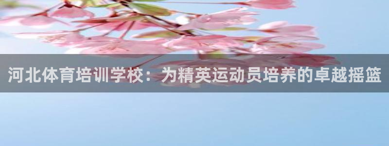 极悦娱乐的创始人背景故事是什么：河北体育培训学校：为