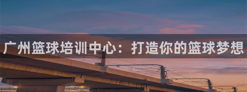 极悦平台登录7.0.2.4手机版下载：广州篮球培训中