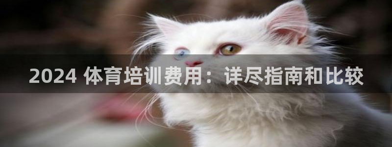 极悦官网首页登录入口：2024 体育培训费用：详尽指