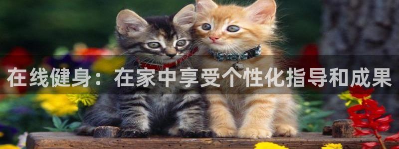 极悦平台布7O777：在线健身：在家中享受个性化指导