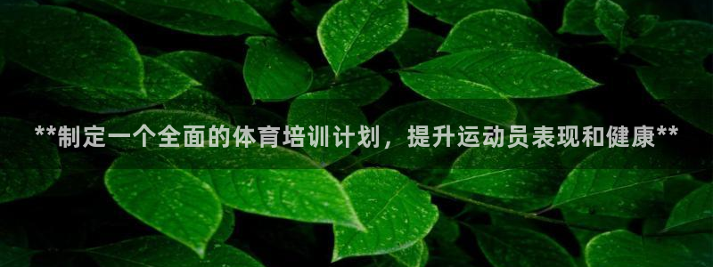 加盟极悦教育多少钱：**制定一个全面的体育培训计划，
