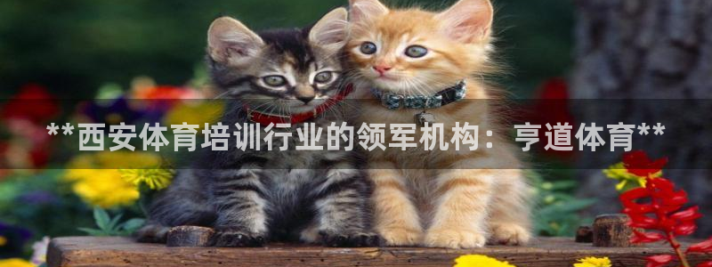 极悦平台非7O777：**西安体育培训行业的领军机构