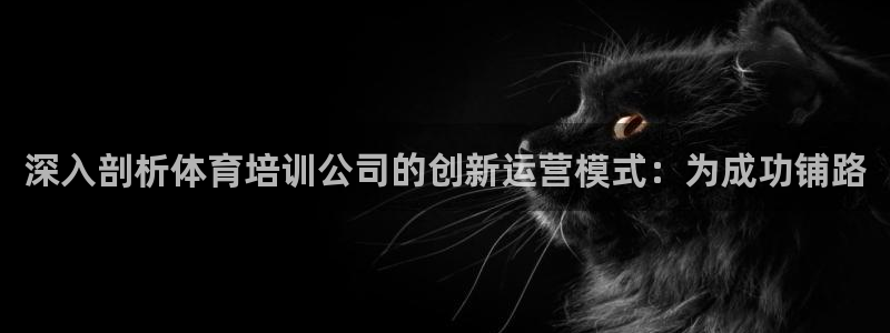 极悦平台方7O777：深入剖析体育培训公司的创新运营