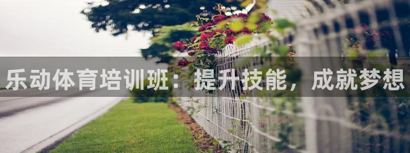 极悦平台创始人背景故事视频：乐动体育培训班：提升技能