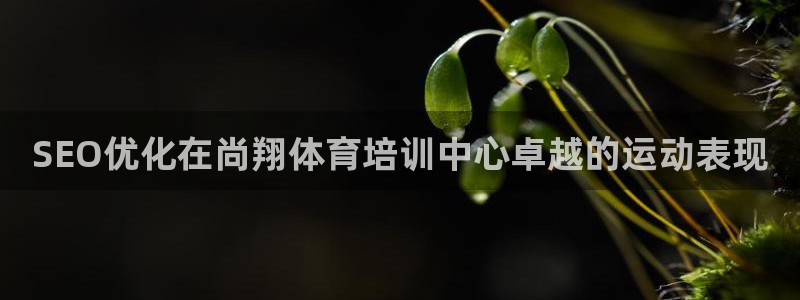 极悦平台注册失败如何解决：SEO优化在尚翔体育培训中