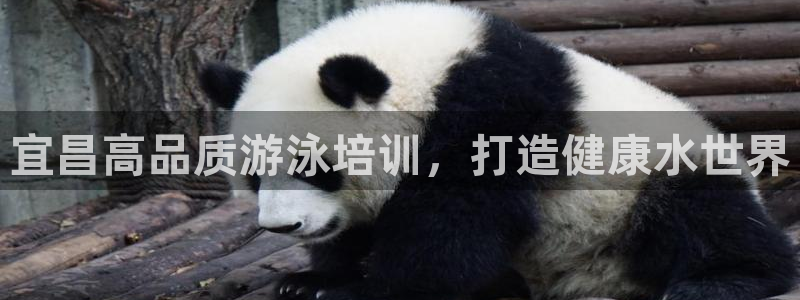 极悦官网注册最新版本更新内容是什么：宜昌高品质游泳培