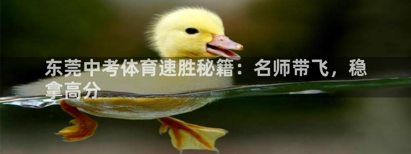 极悦娱乐游戏安全吗：东莞中考体育速胜秘籍：名师带飞，