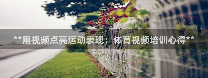 极悦娱乐app官方版本更新内容是什么：**用视频点亮
