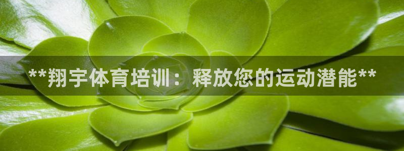 极悦平台用户评价在哪里看：**翔宇体育培训：释放您的