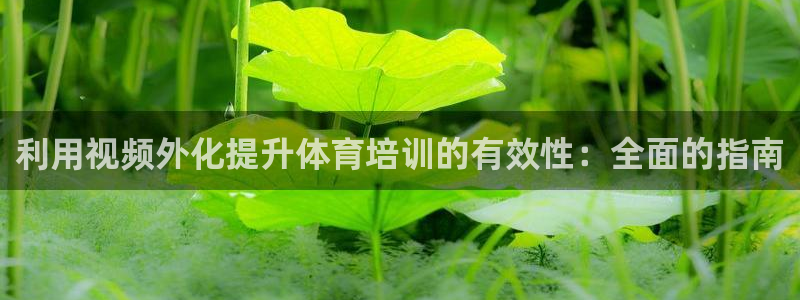 极悦平台股东名单：利用视频外化提升体育培训的有效性：