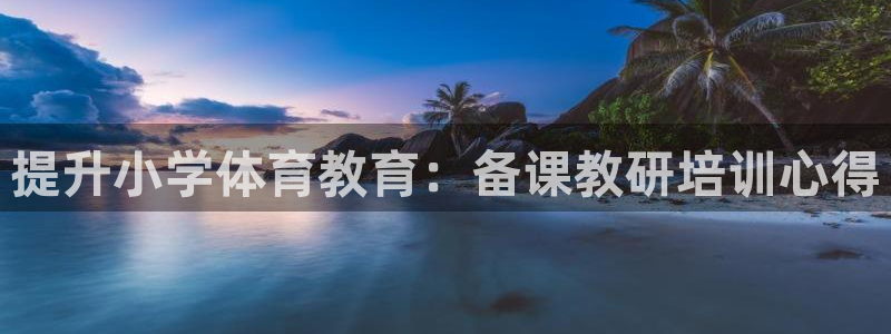 极悦平台注册和登录页面：提升小学体育教育：备课教研培训心得