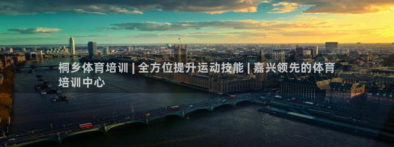 极悦平台代理怎么做的：桐乡体育培训 | 全方位提升运动技能 