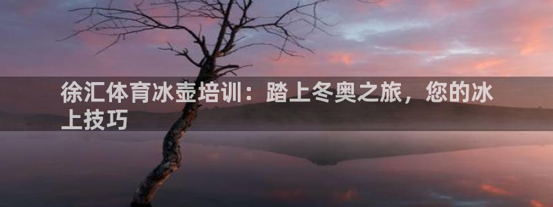 极悦平台注册用户名验证不了：徐汇体育冰壶培训：踏上冬