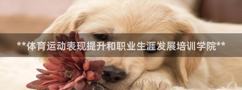极悦牙膏怎么样知乎：**体育运动表现提升和职业生涯发