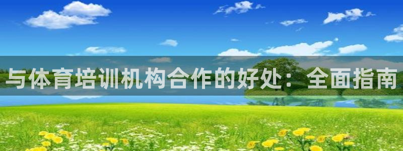 极悦平台官方网址是什么：与体育培训机构合作的好处：全