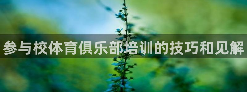 极悦娱乐挂机赚钱是真的吗：参与校体育俱乐部培训的技巧
