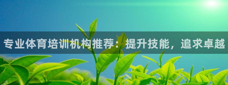 极悦娱乐创始人背景故事：专业体育培训机构推荐：提升技
