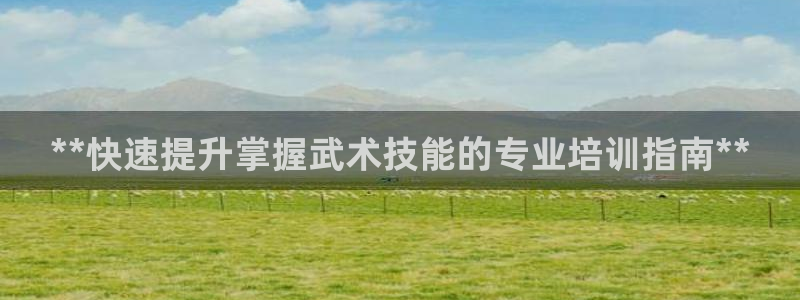 极悦官网首页：**快速提升掌握武术技能的专业培训指南**