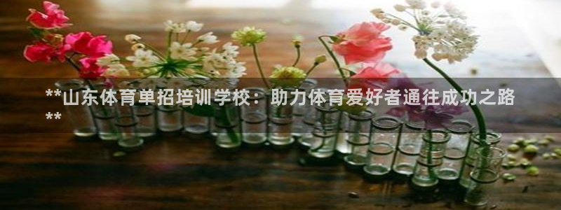 极悦娱乐贴吧官网：**山东体育单招培训学校：助力体育