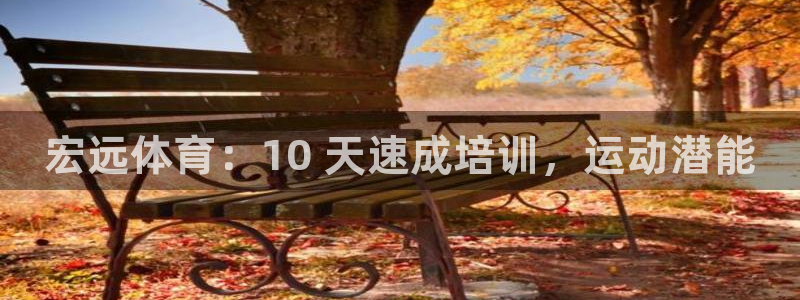 极悦平台与网易合作详情：宏远体育：10 天速成培训，运动潜能