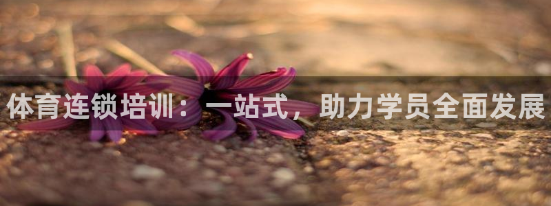 极悦平台官网登录不了怎么回事