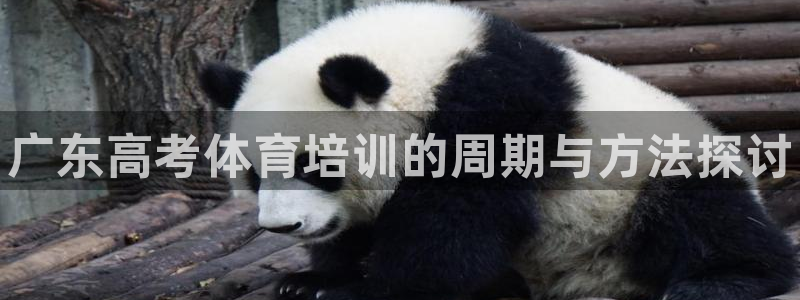 极悦平台登录最新版本更新内容是什么：广东高考体育培训