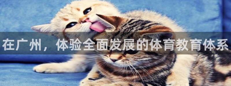 极悦平台注册官方网站下载安卓版：在广州，体验全面发展