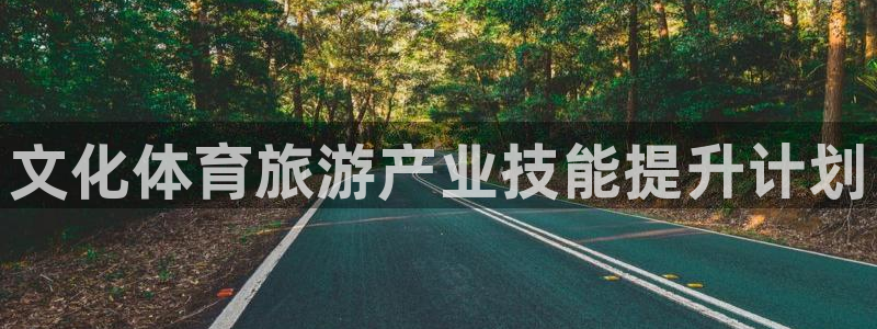 极悦娱乐游戏安全吗：文化体育旅游产业技能提升计划