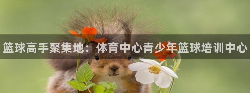 极悦娱乐代理多少钱一年：篮球高手聚集地：体育中心青少