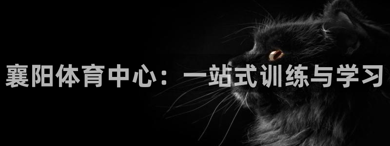 极悦平台使用教程图解：襄阳体育中心：一站式训练与学习