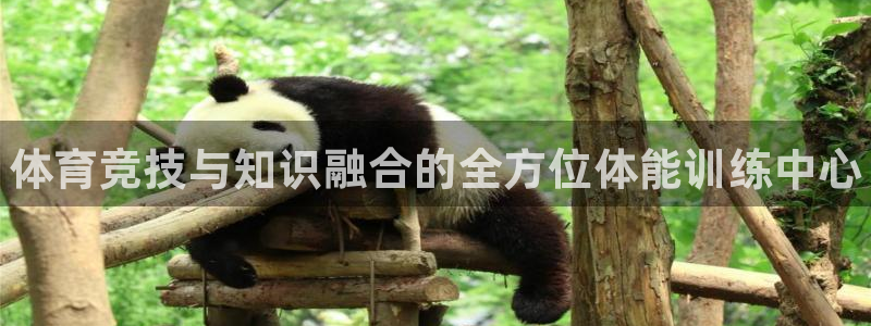 极悦平台是正规平台吗：体育竞技与知识融合的全方位体能