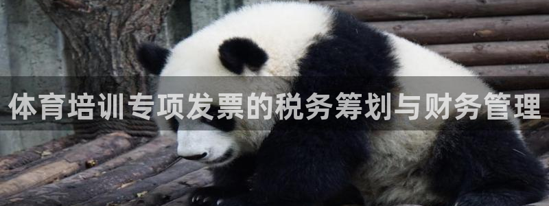 极悦平台官网入口网站：体育培训专项发票的税务筹划与财