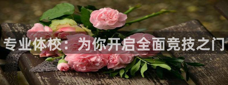 极悦平台官网下载中心网址：专业体校：为你开启全面竞技之门