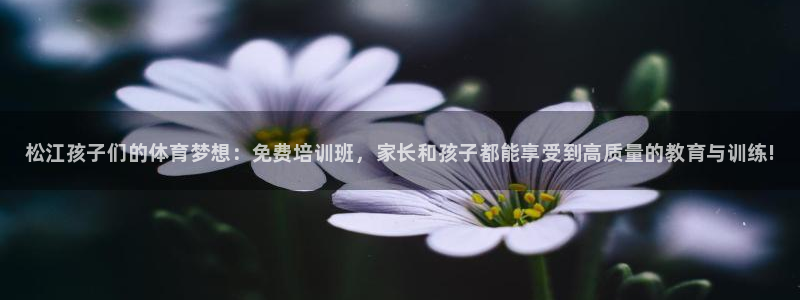 极悦娱乐公司最新招聘信息：松江孩子们的体育梦想：免费